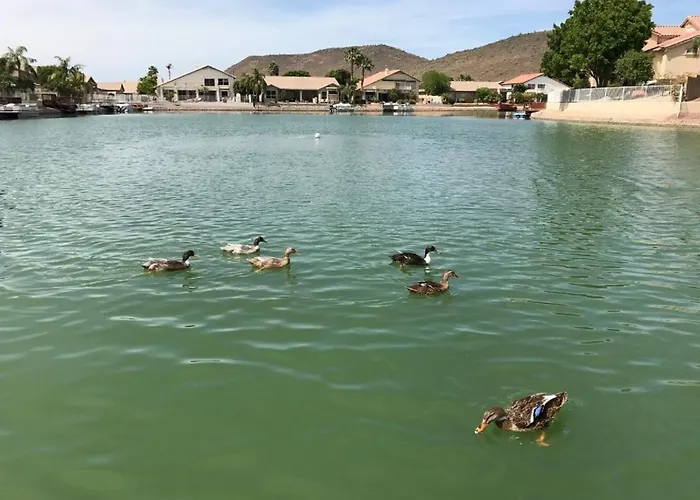 Holiday home Arizona Lakeside *