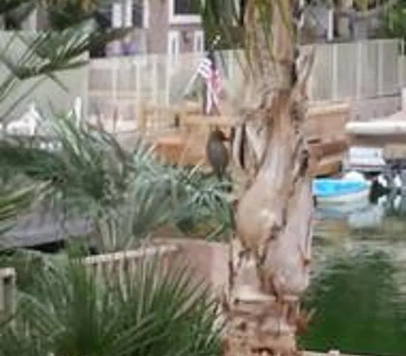 Holiday home Arizona Lakeside *